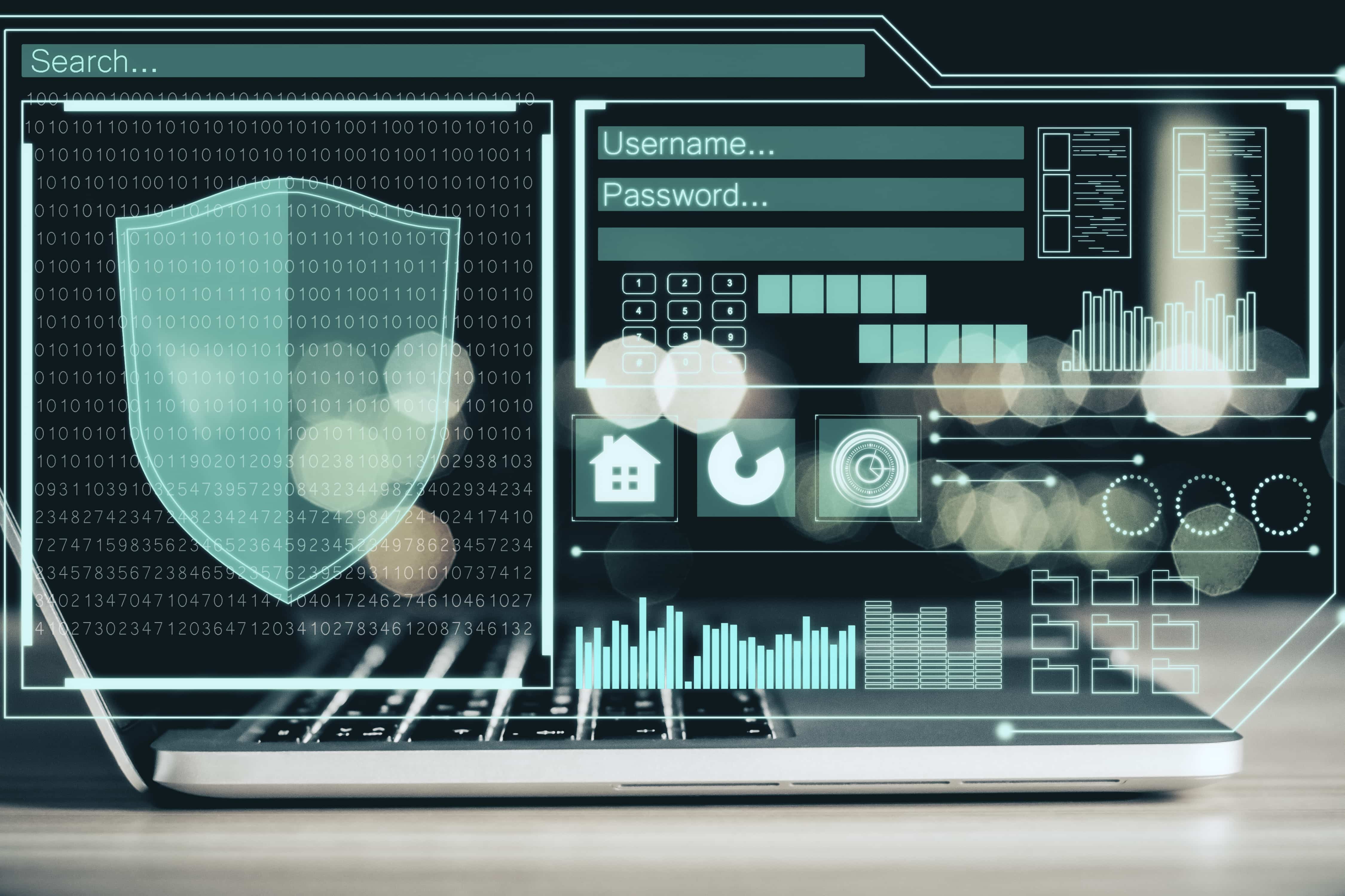 API Penetration Testing