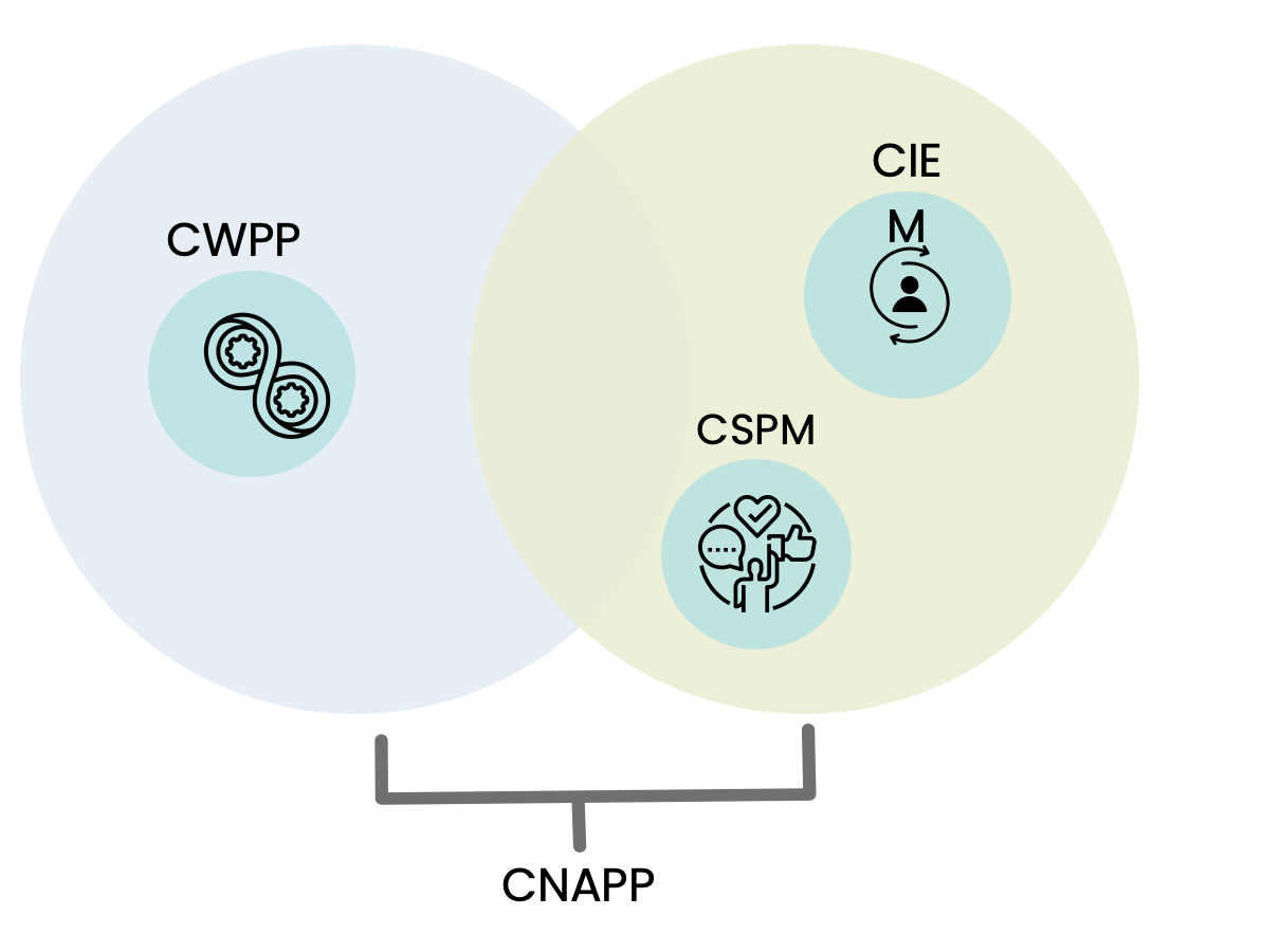 cnappcase